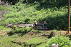IMG_4781