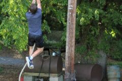 IMG_1231